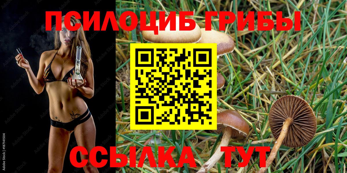 Псилоцибиновые грибы MAGIC MUSHROOMS Красноармейск