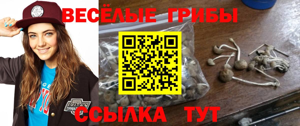 ТГК Красноармейск